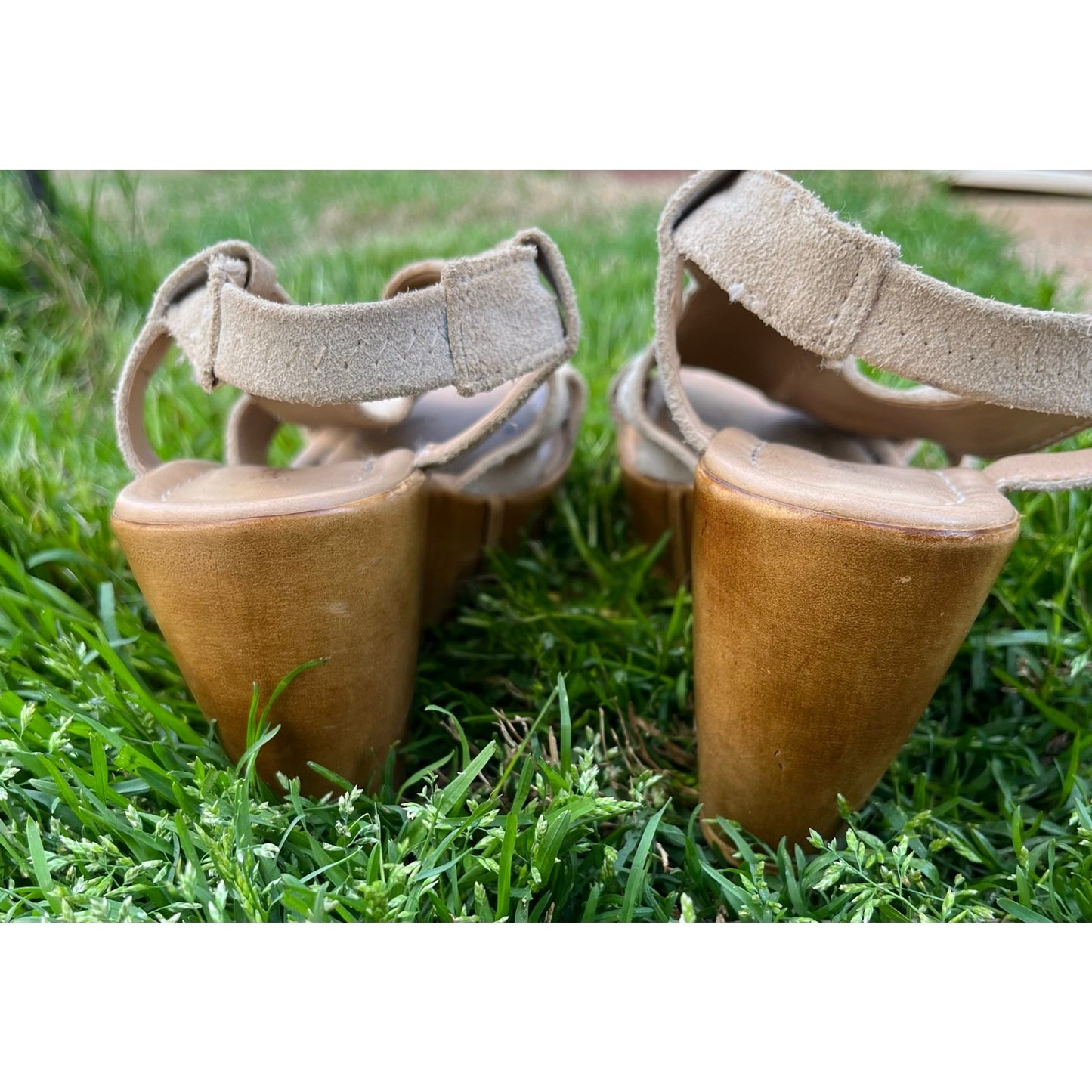 Barbara Barbieri Suede Wedge Sandle, size 6