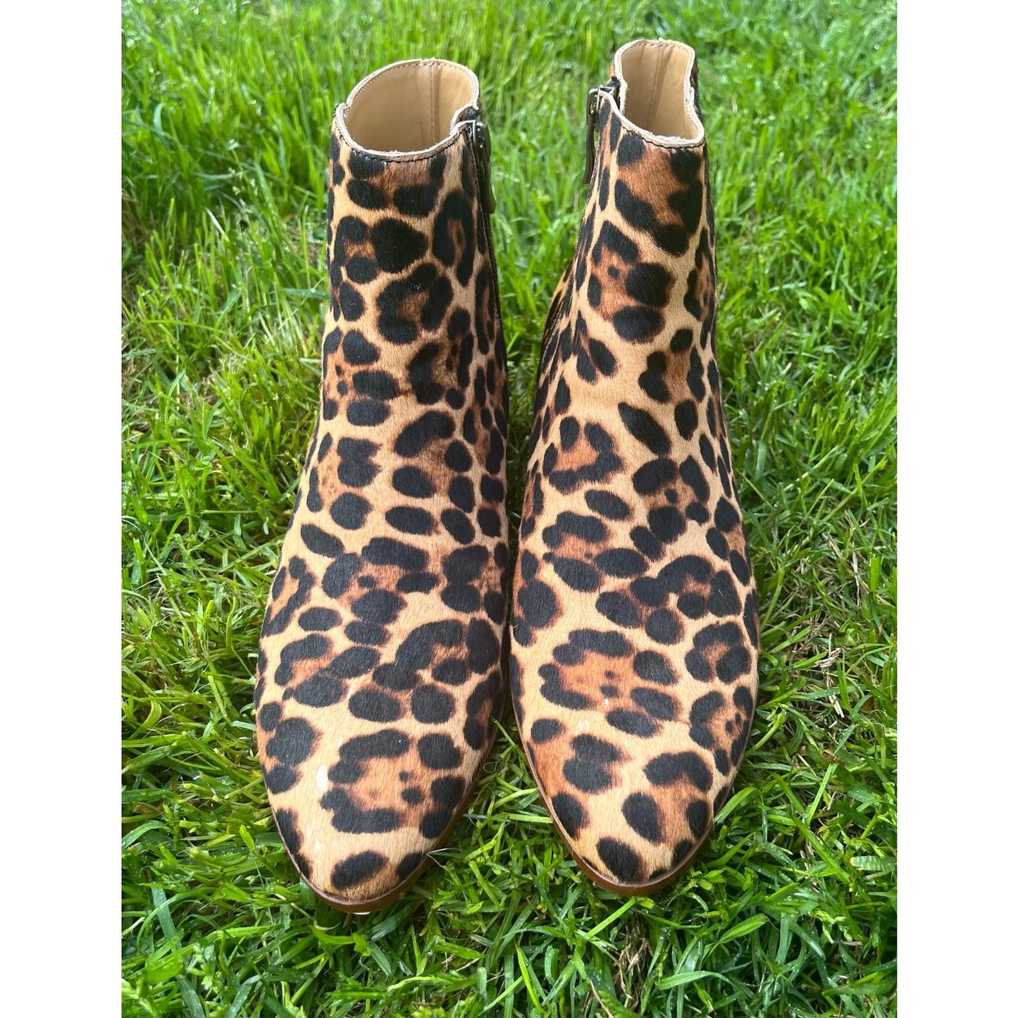 J.Crew Walker Calf Hair Leopard Booties Women’s Size 8 Animal Print Ankle Boots