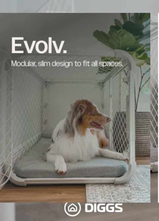 Diggs Evolv Dog Crate Intermediate Dog Crate