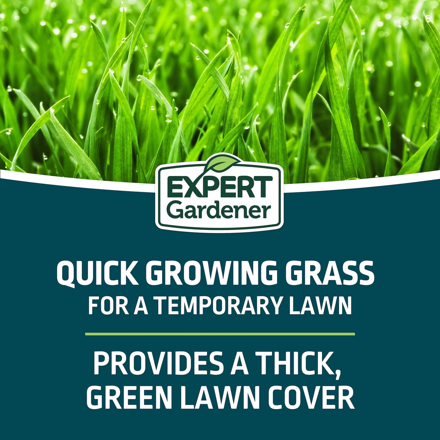 Kwik Grass Seed Mix, for Sun to Partial Shade, 3 Lb.