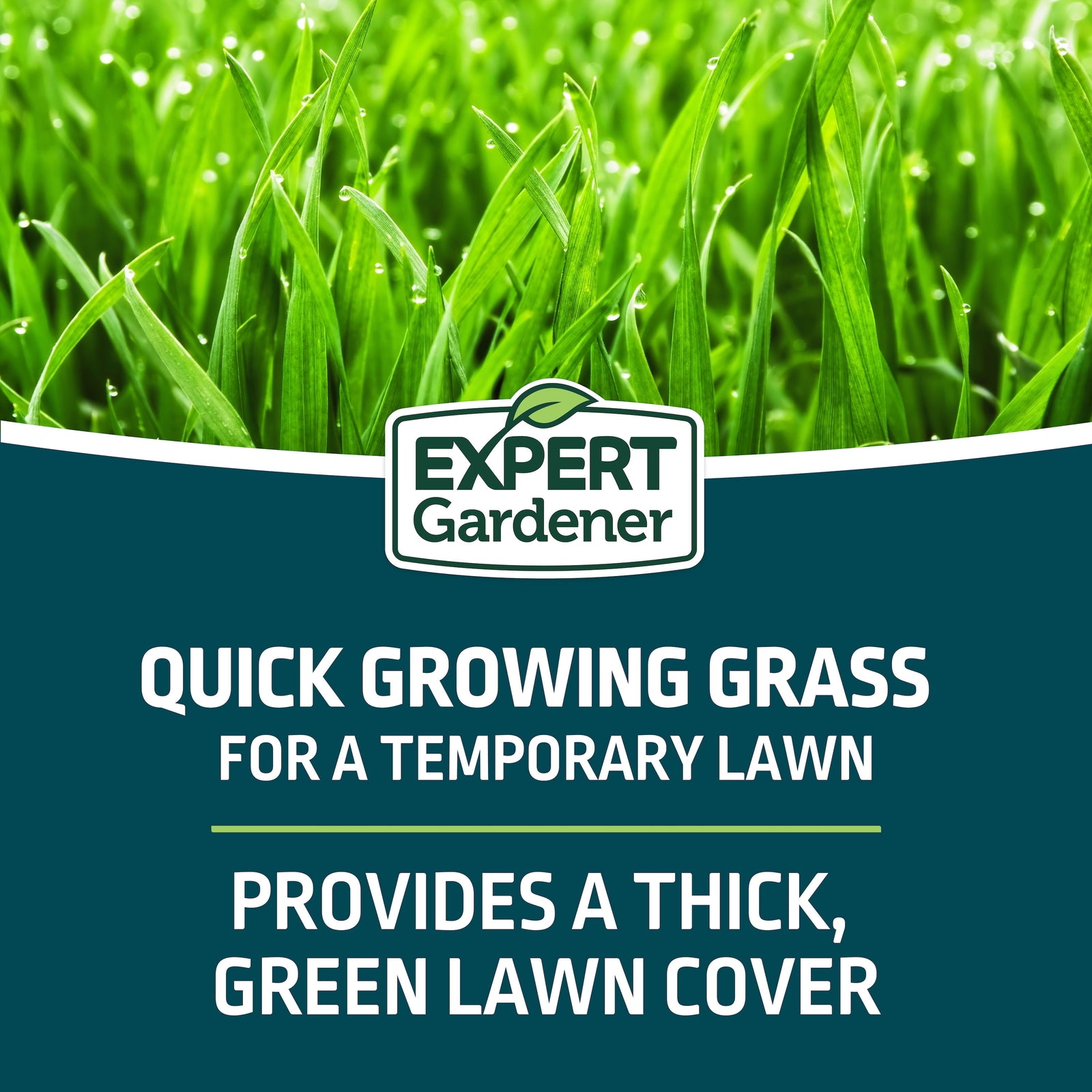 Kwik Grass Seed Mix, for Sun to Partial Shade, 3 Lb.