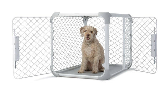 Diggs Evolv Dog Crate Intermediate Dog Crate