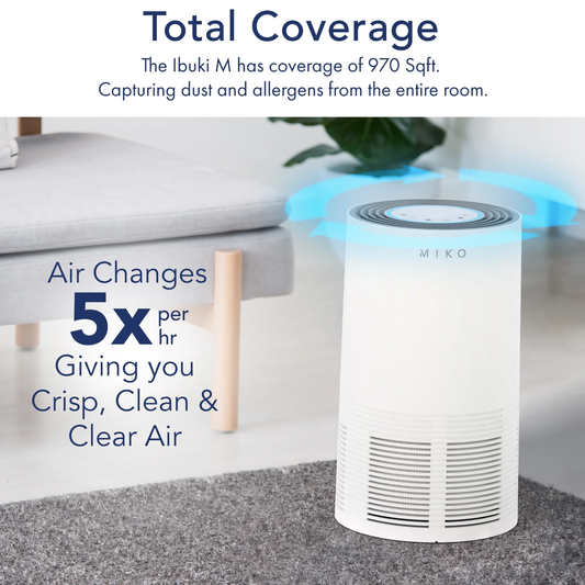 Air Purifier for Home Large Room, H13 HEPA Filter Cleaner for Allergies and Pet 